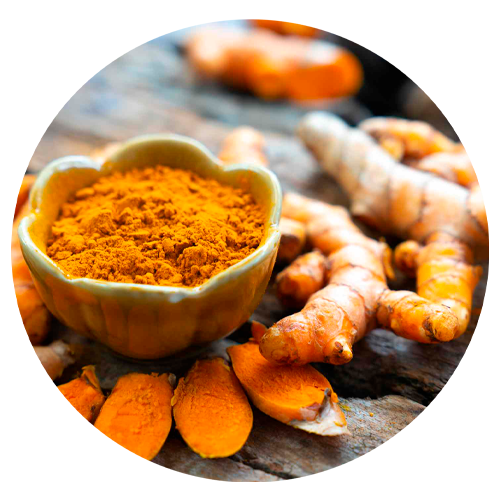 Turmeric Extract ingredient in Sciatilief